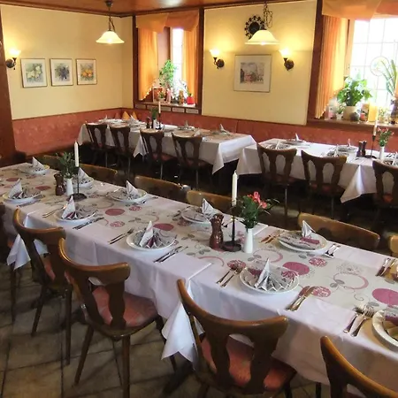 Guest house Rotes Ross 2*